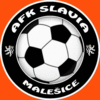 Slavia Malešice  B