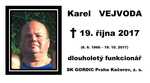 Karel   VEJVODA.pdf
